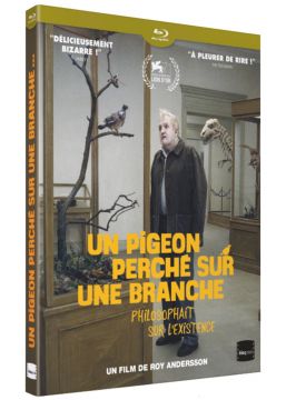 Un Pigeon perché sur une branche philosophait sur l'existence