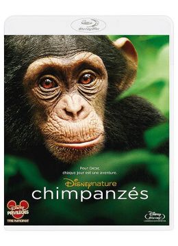 Chimpanzés